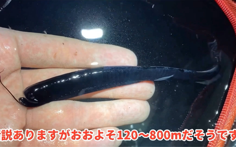 蜈蚣メリベ