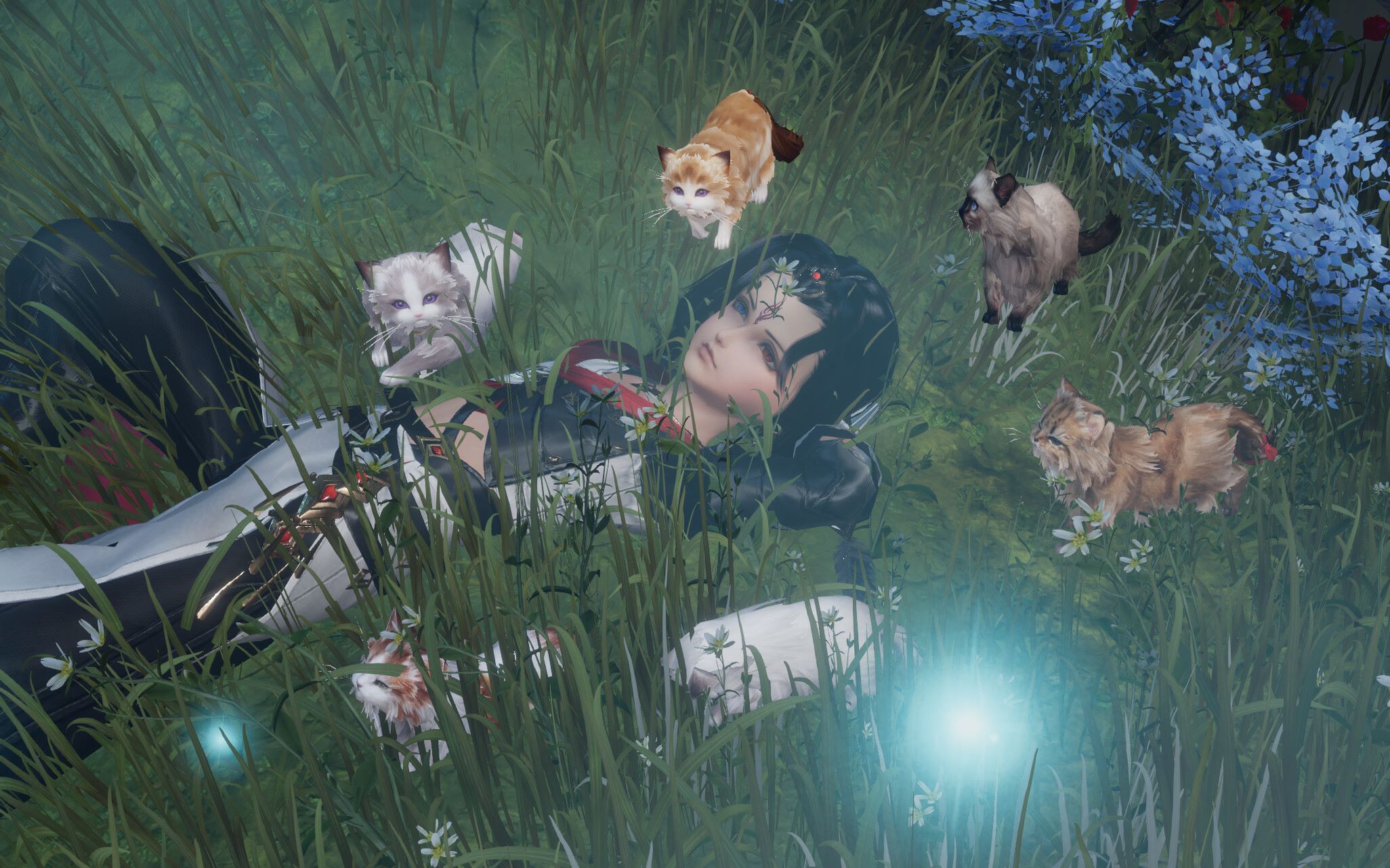 活动作品攻略明教门派跟宠第二只全过程