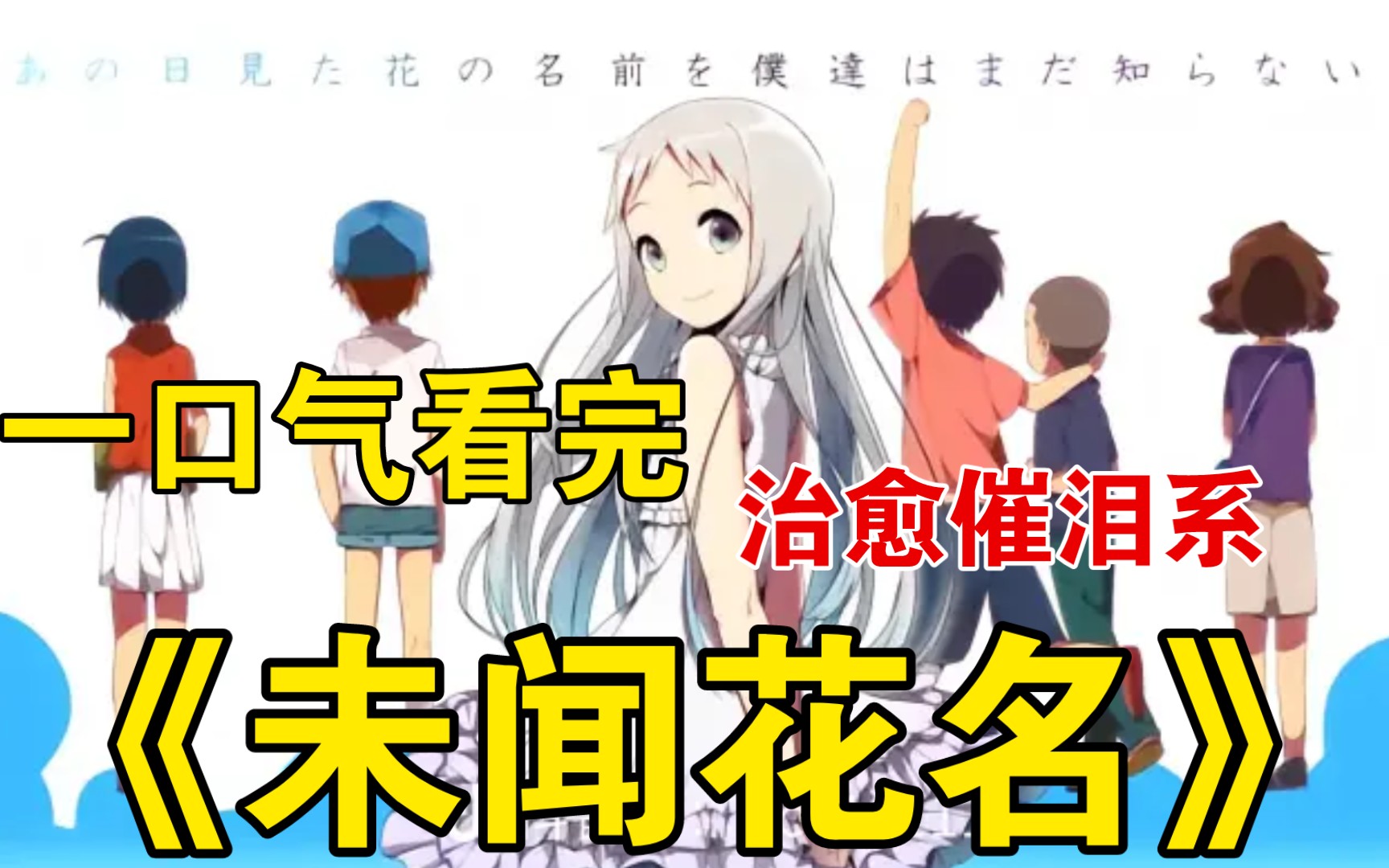 一口气回顾治愈系的天花板：《我们仍未知道那天所看见的花开的名字》