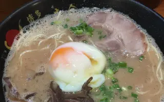 博多拉面 搜索结果 哔哩哔哩 Bilibili