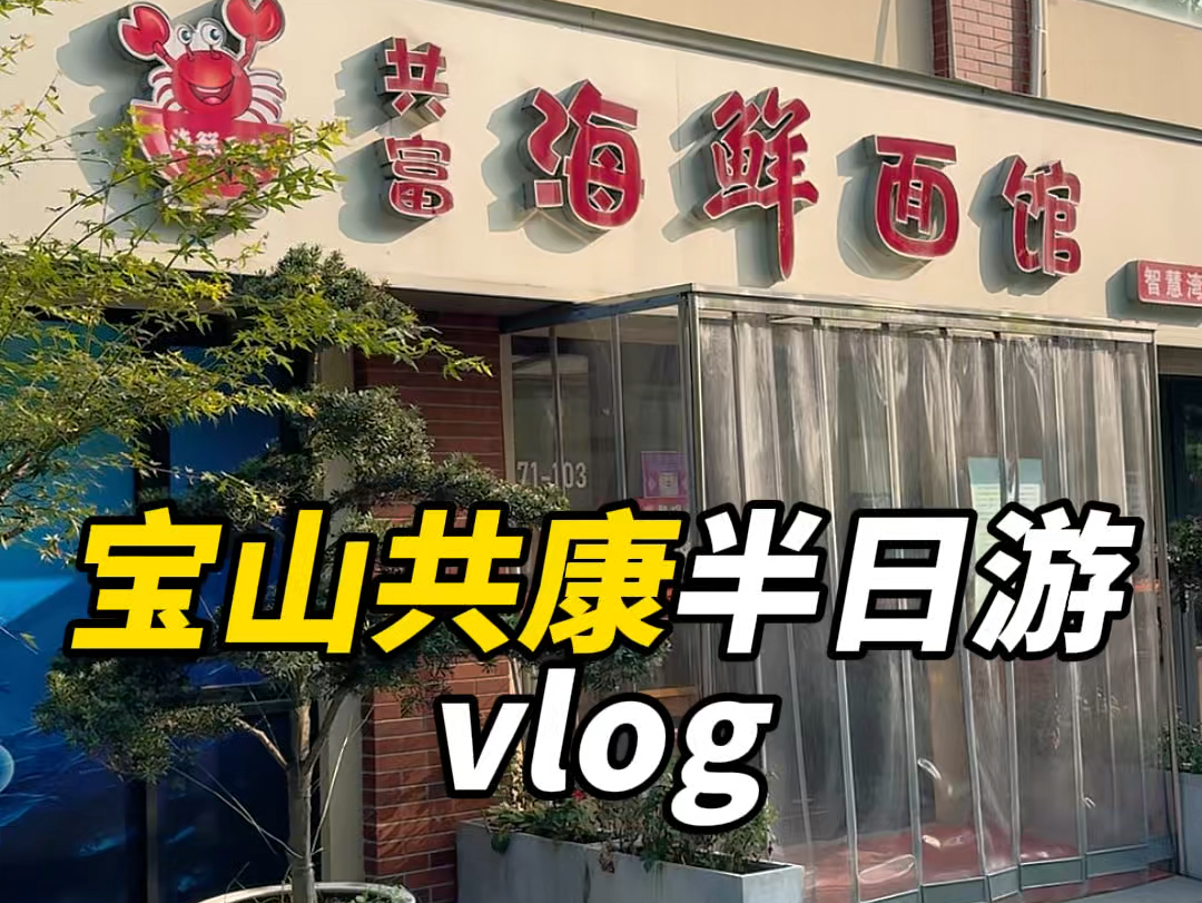 失业第91天|宝山共康半日游vlog~哔哩哔哩bilibili