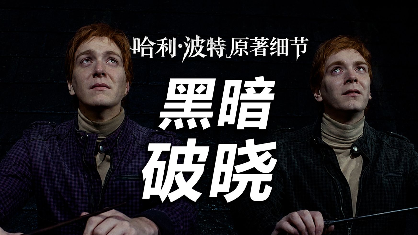 【HP】黎明之前，英杰陨落！霍格沃茨最惨烈的一夜！|《死亡圣器》原著细节盘点【哈利波特十级学者】