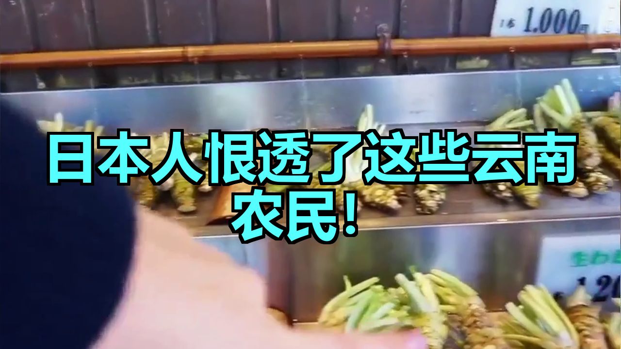 日本人恨透了这些云南农民！