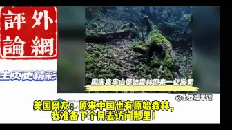 下载视频: 想你的风吹到了哀牢山外网看国庆哀牢山原始森林迎来一亿多游客！