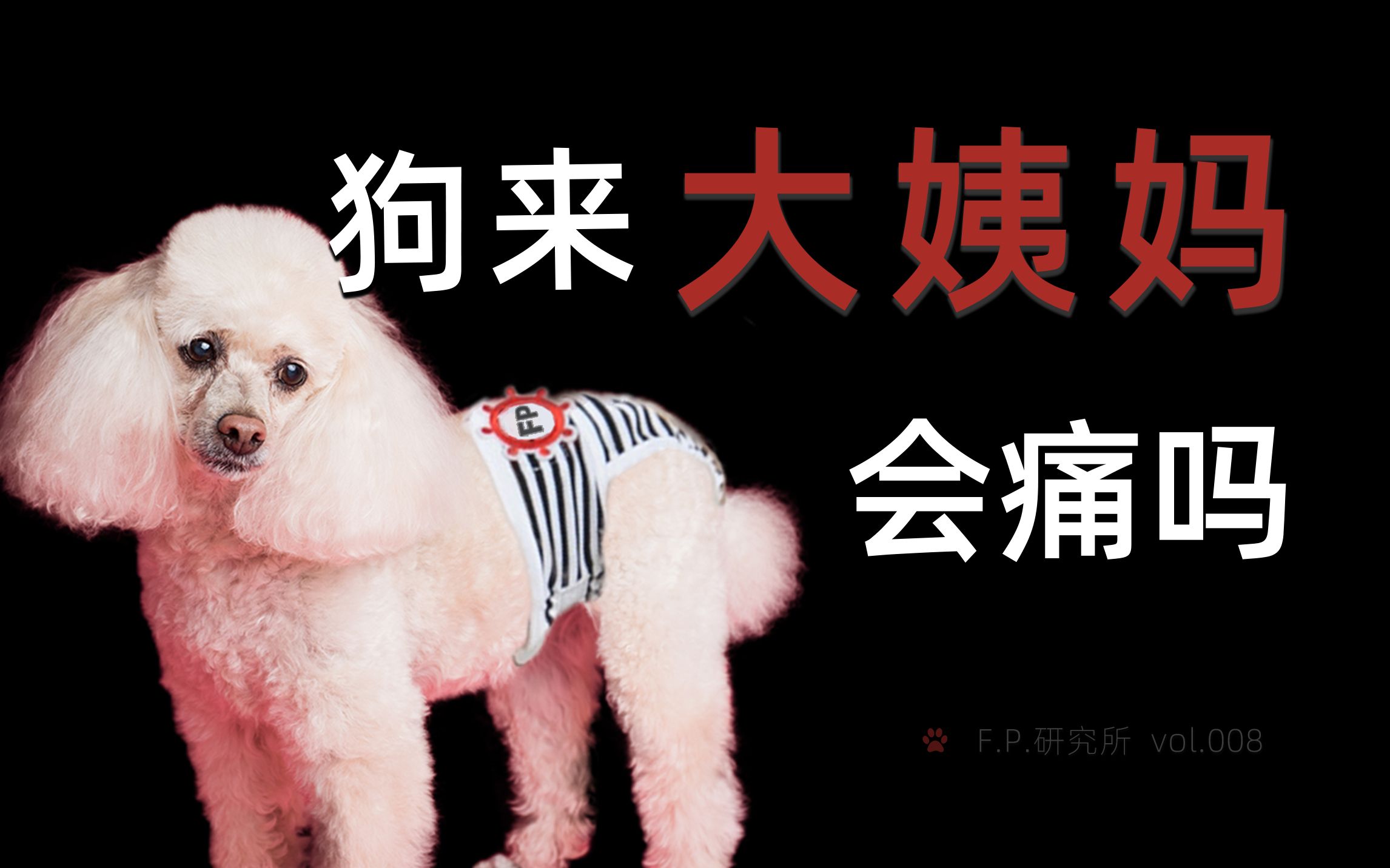 fp研究所|狗狗的大姨妈和人类的有什么不同|狗来大姨妈会痛吗?