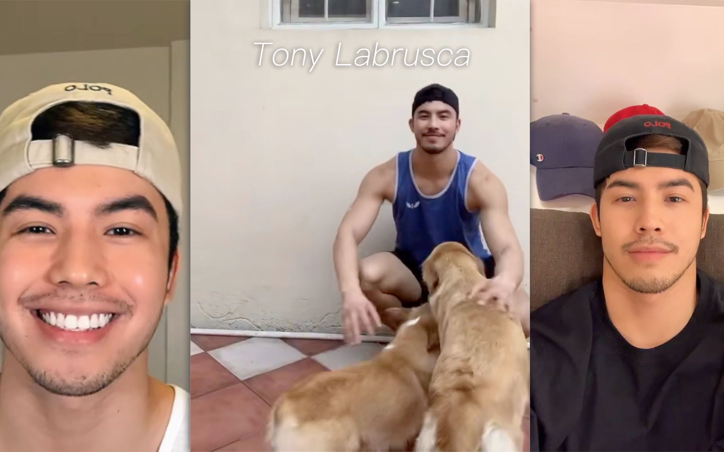 tony labrusca tiktok合集
