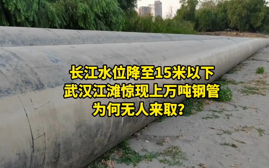 长江水位降至15米以下,武汉江滩惊现上万吨钢管,为何无人来取?哔哩哔哩bilibili