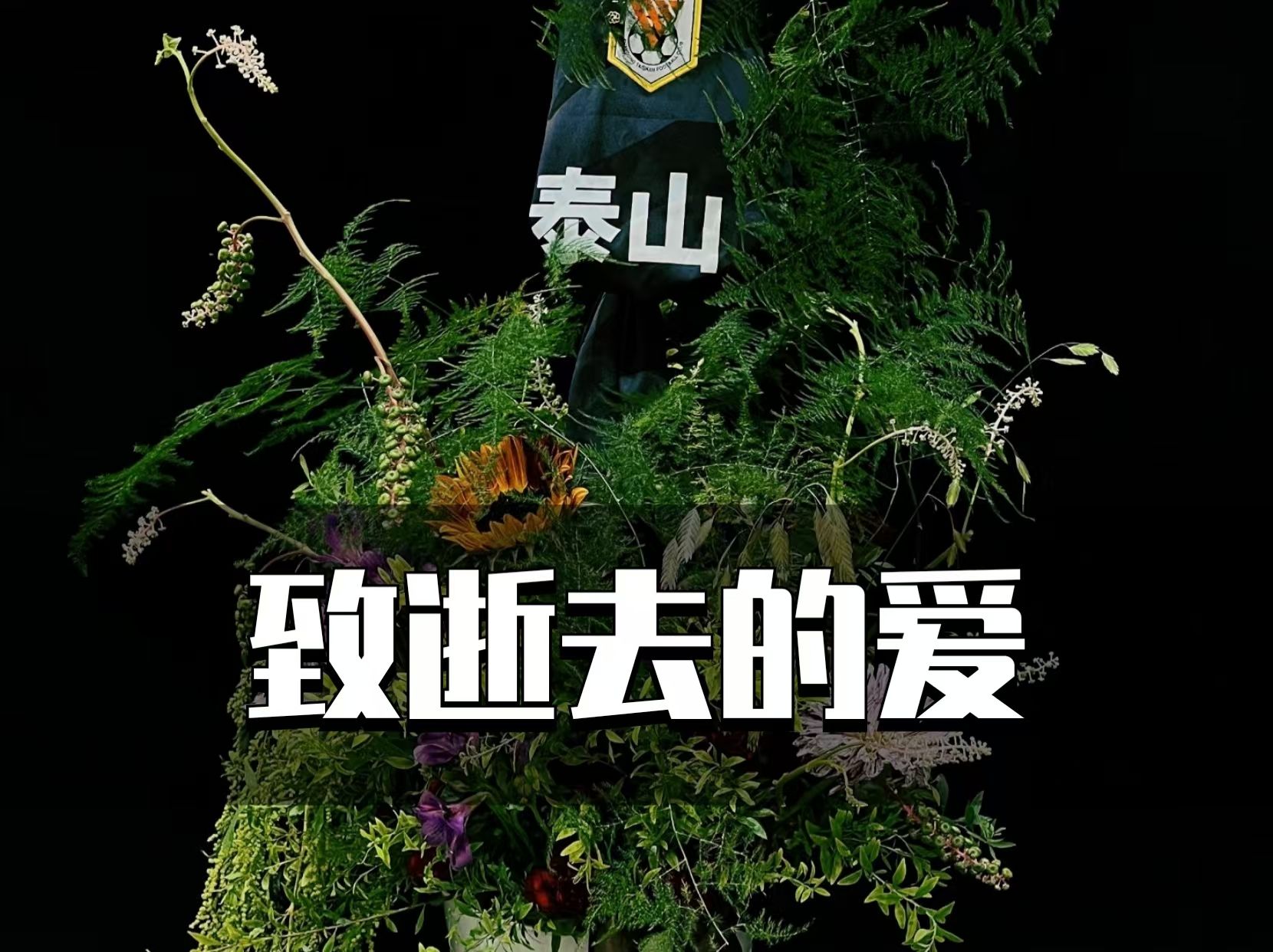 qq空间逝去的爱=空间以前删的说说还能找回来吗
