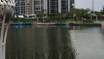 下班在官渡公园坐坐，对了一天电脑，眼都瞎了