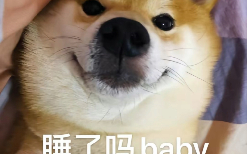 睡了吗?baby哔哩哔哩bilibili