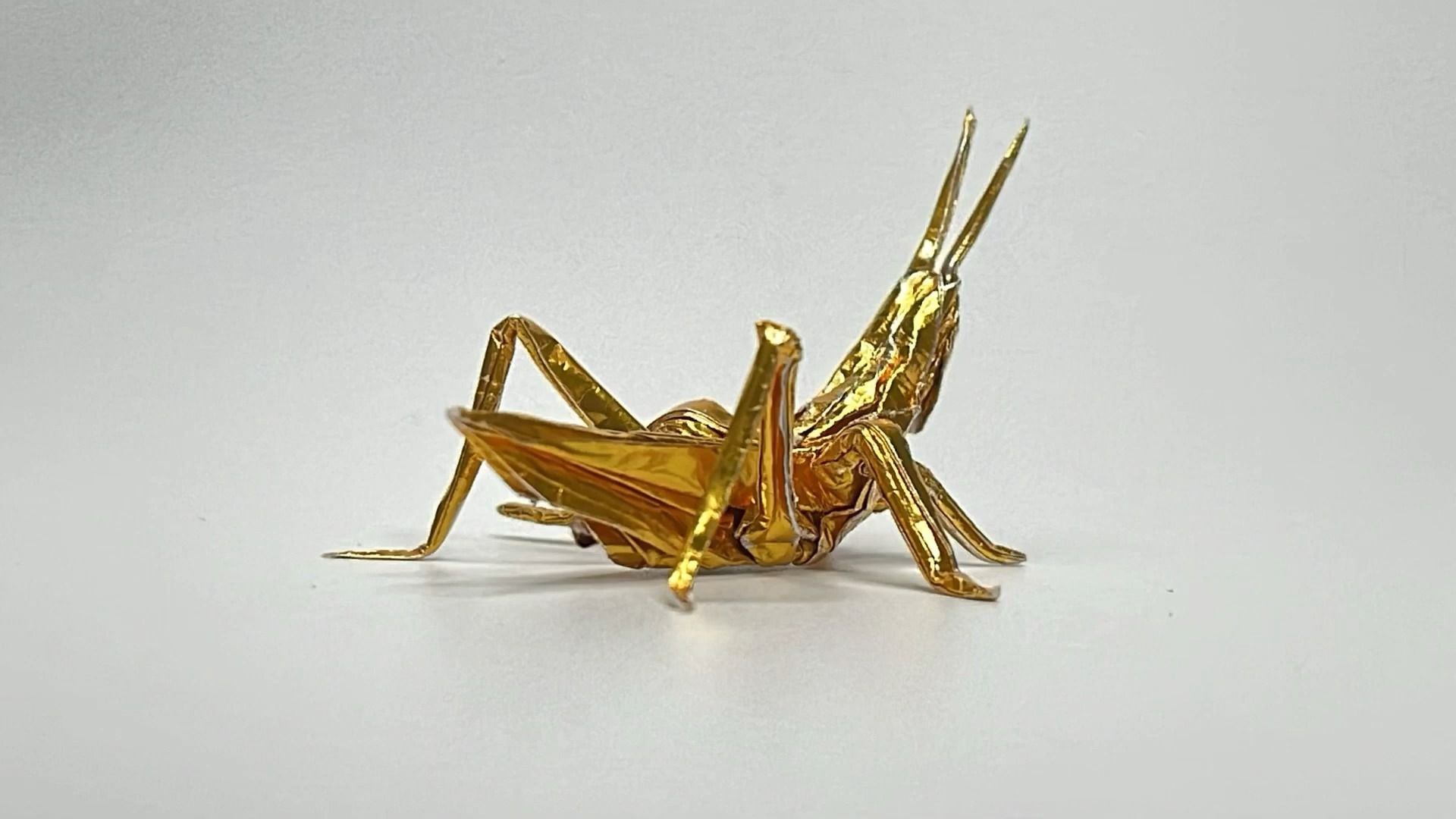 【mushitarous origami】蟋蟀折纸教程 origami orientallongheaded