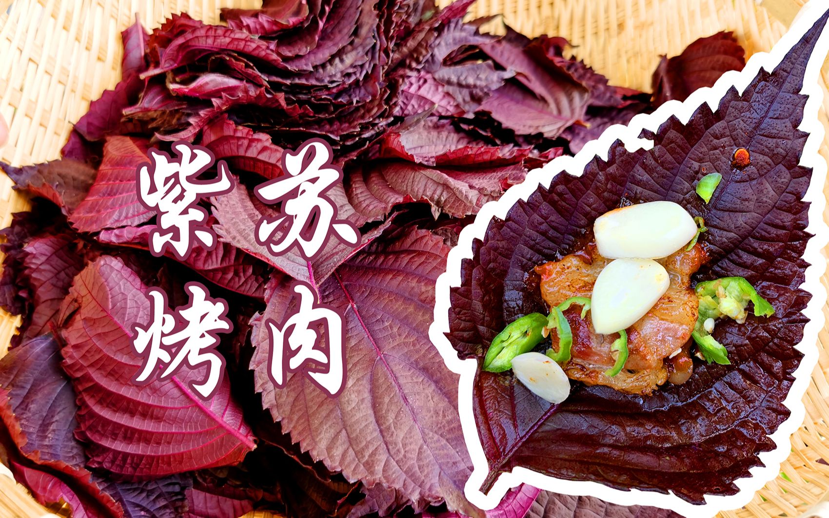 炎炎夏日 自制一次紫苏汽水在院子里来一次紫苏烤肉 巴适_哔哩哔哩