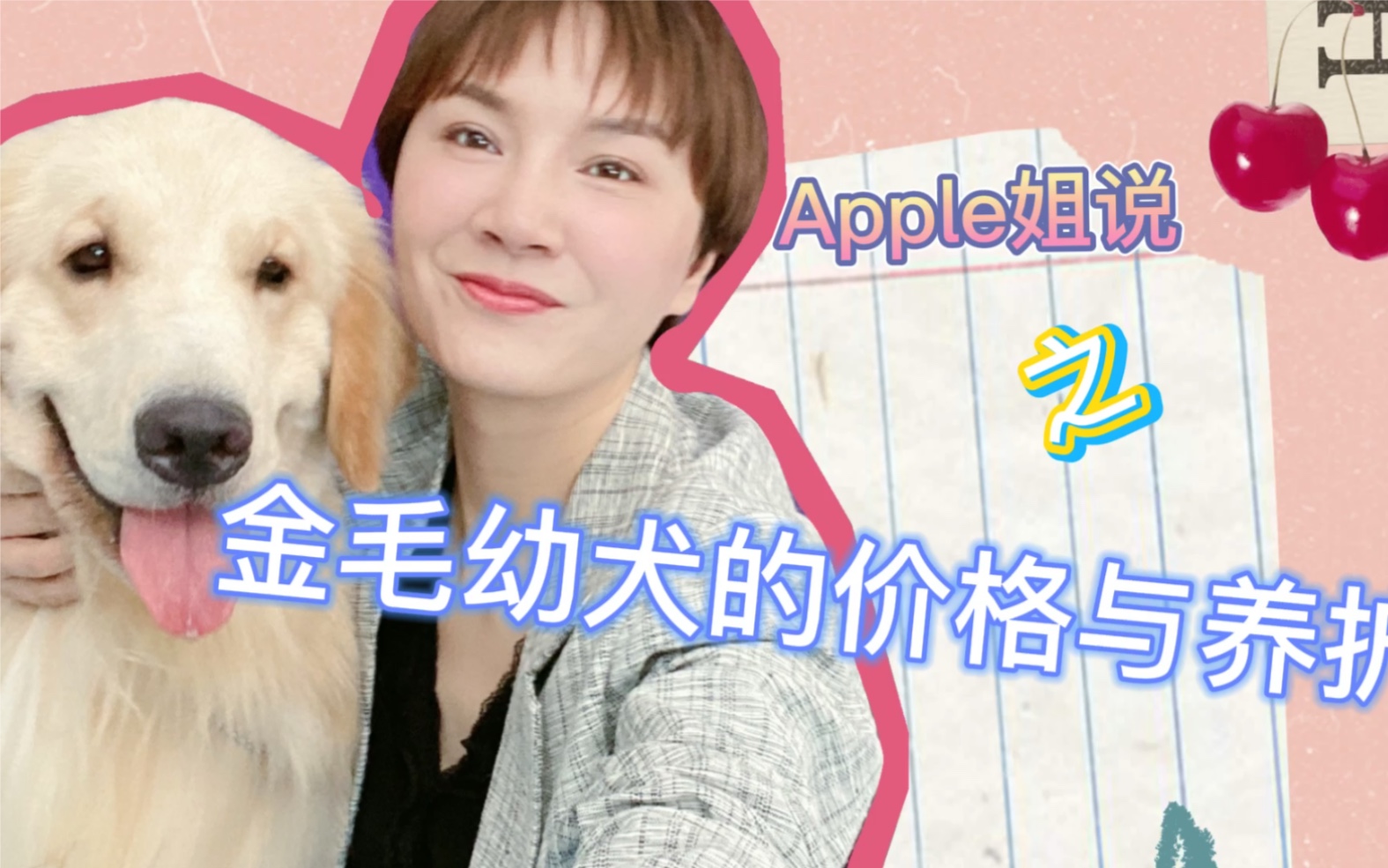 金毛幼犬的价格和养护哔哩哔哩bilibili