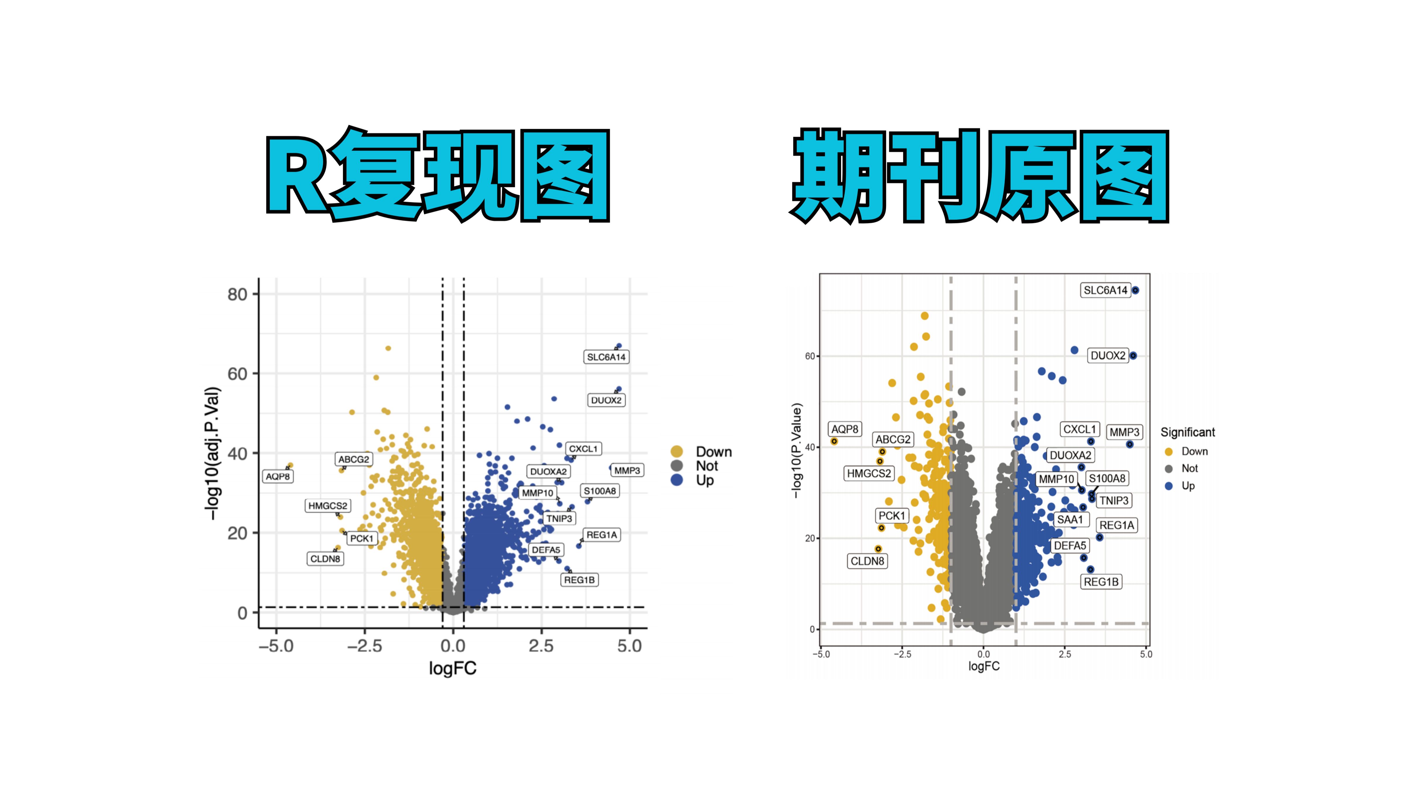 如何用R语言绘制火山图?10分钟带你快速复现!哔哩哔哩bilibili