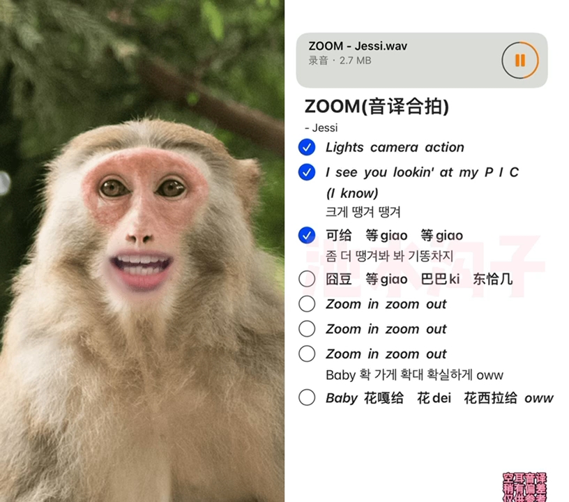 Zoom人狗APP图片