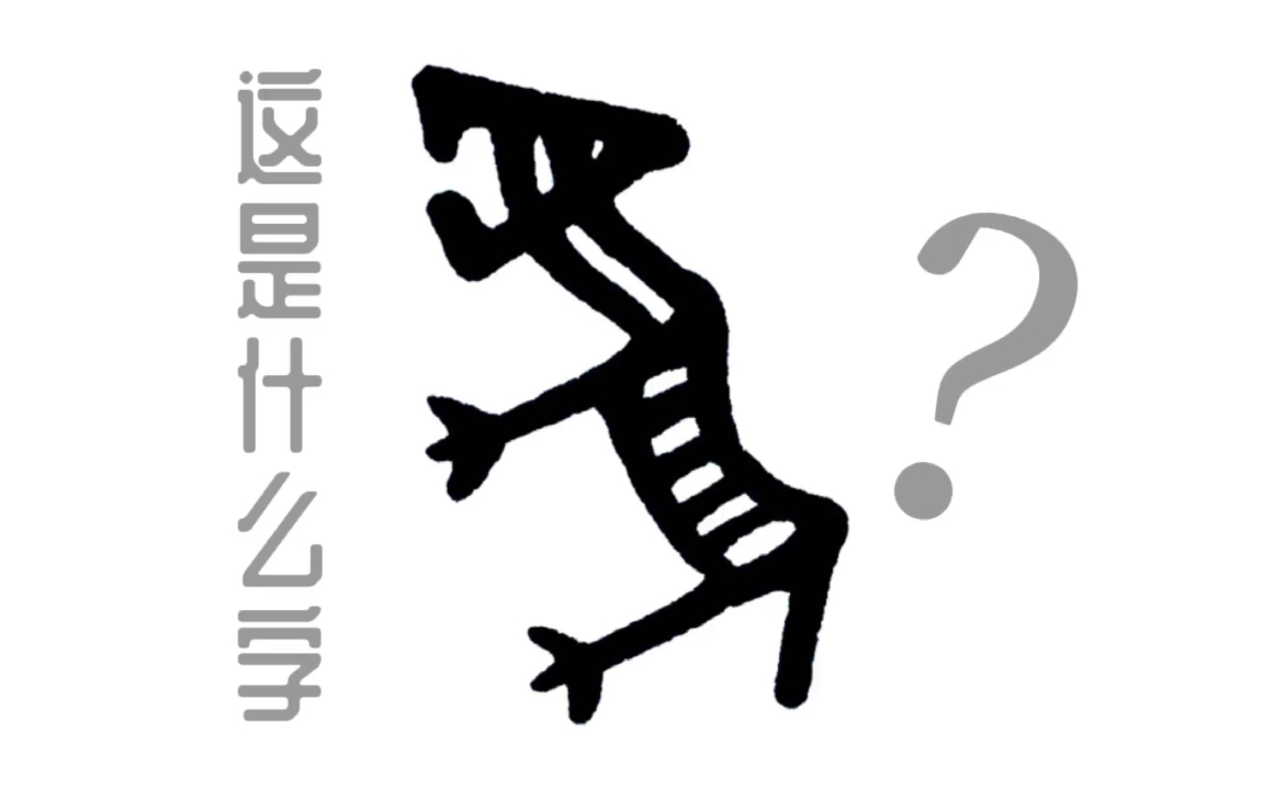 手写汉字演变这个象形是一只不一般的动物你们看出来了吗