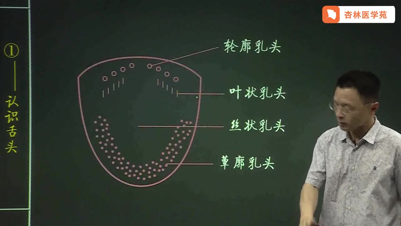 [图]新手入门学透中医舌诊