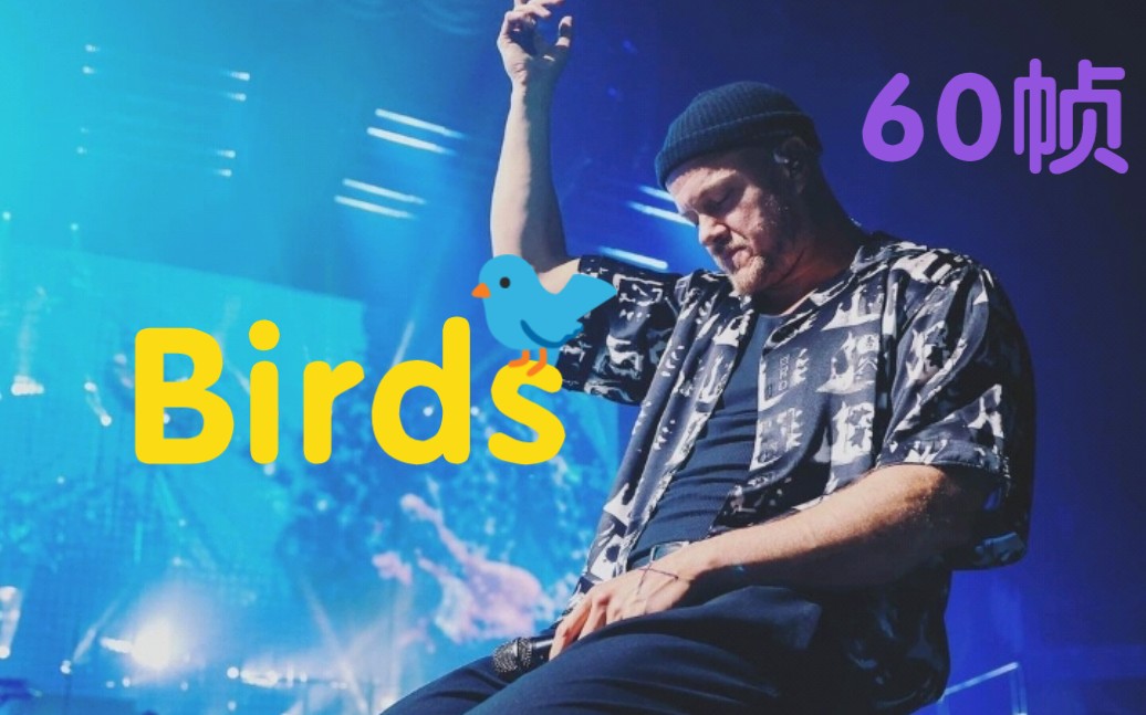 最新演唱會live夢龍樂隊birds現場真的太好聽太有感覺了