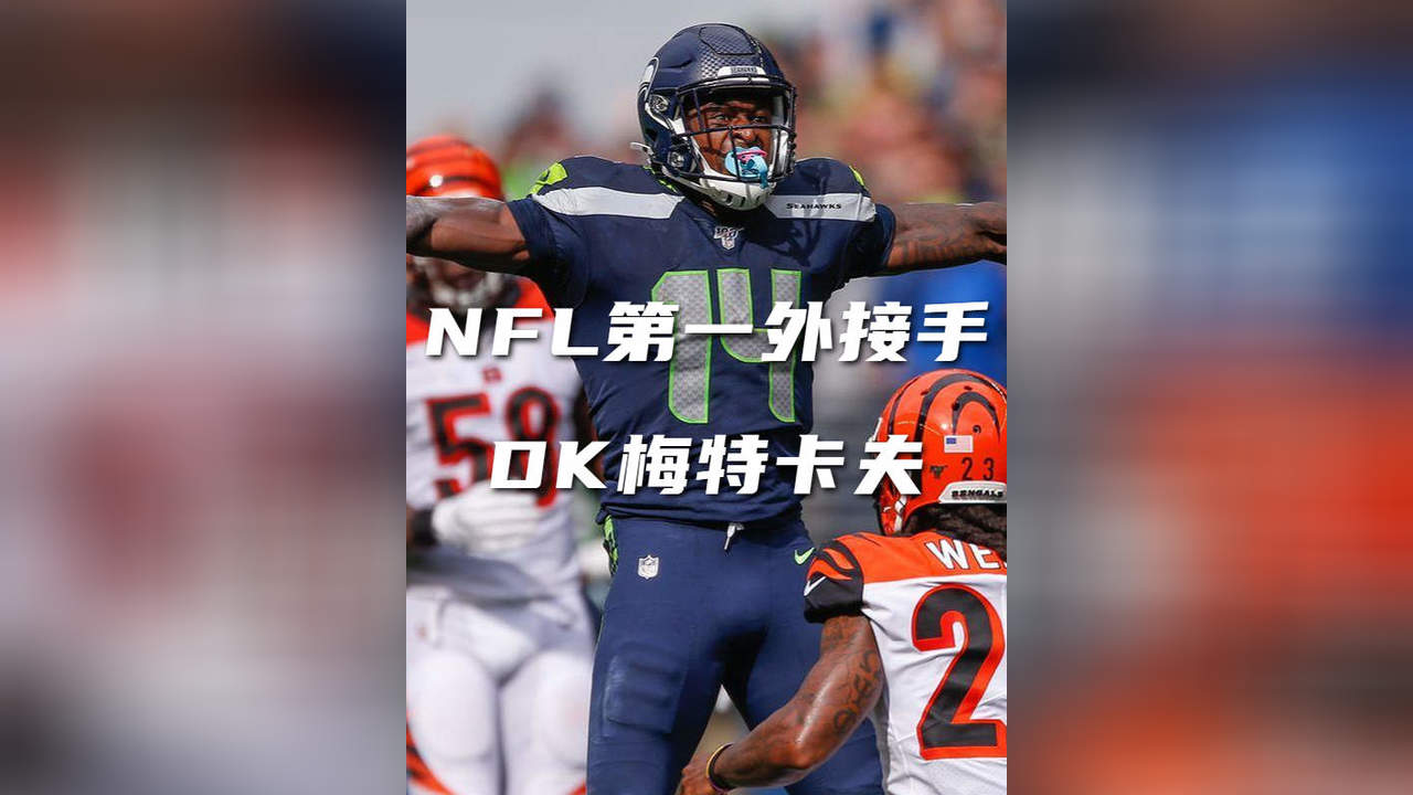 NFL最强外接手DK梅特卡夫哔哩哔哩bilibili