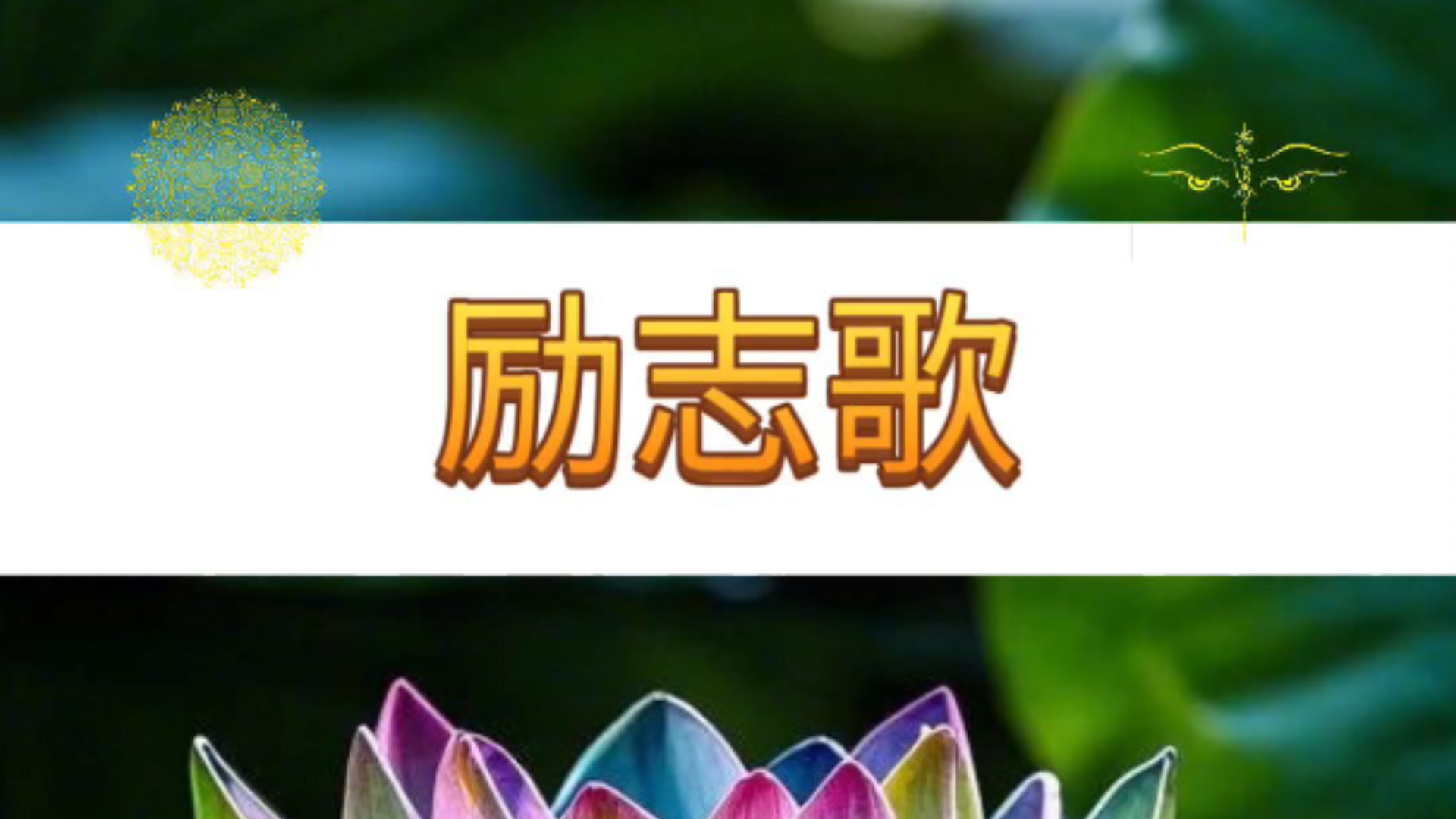 一首励志的歌爆音(一首励志的歌词)