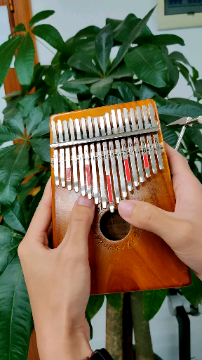 今天用拇指琴表演一个黑人抬棺拇指琴