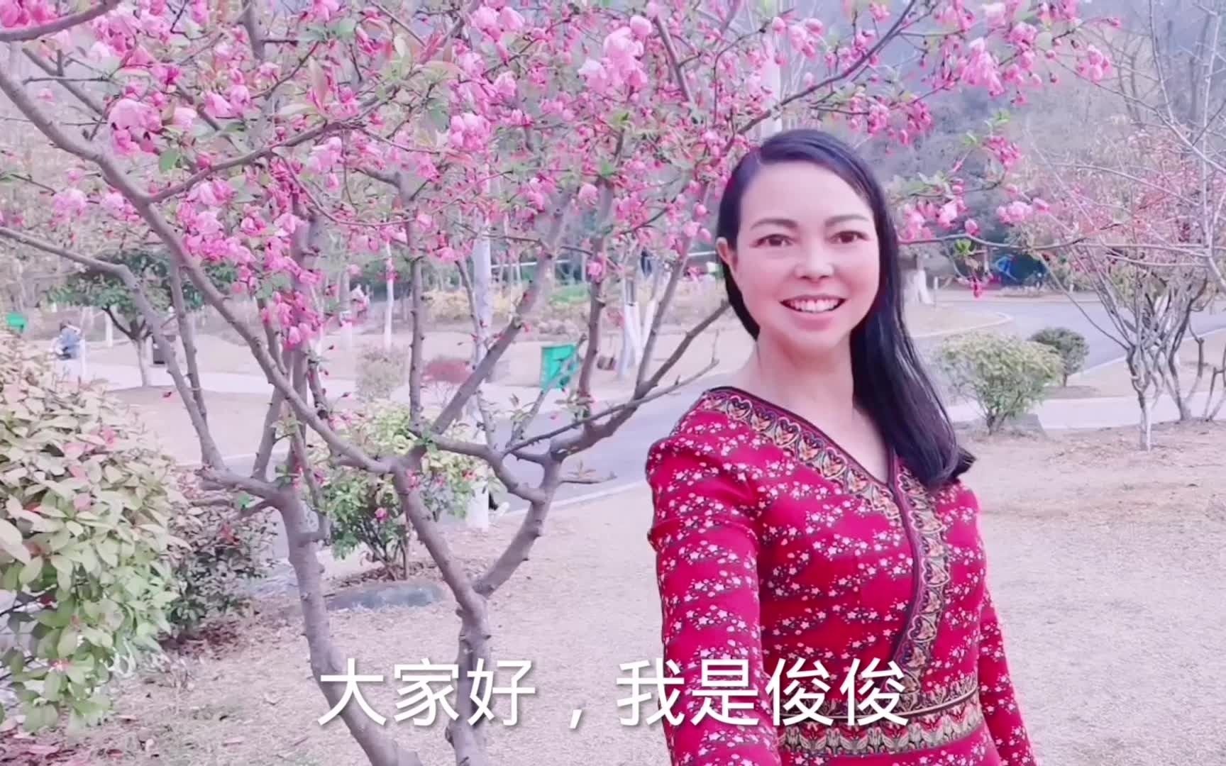 十堰牛头山森林公园植被繁茂、风景优美,歌曲:《鸟儿对花儿说》哔哩哔哩bilibili