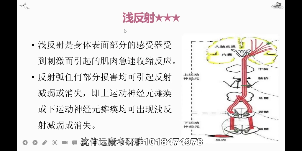 2023年沈阳体育学院运动康复考研哔哩哔哩bilibili