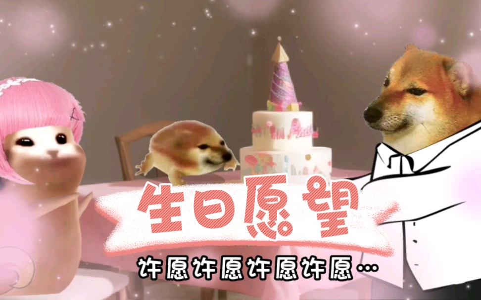 生日愿望哔哩哔哩bilibili