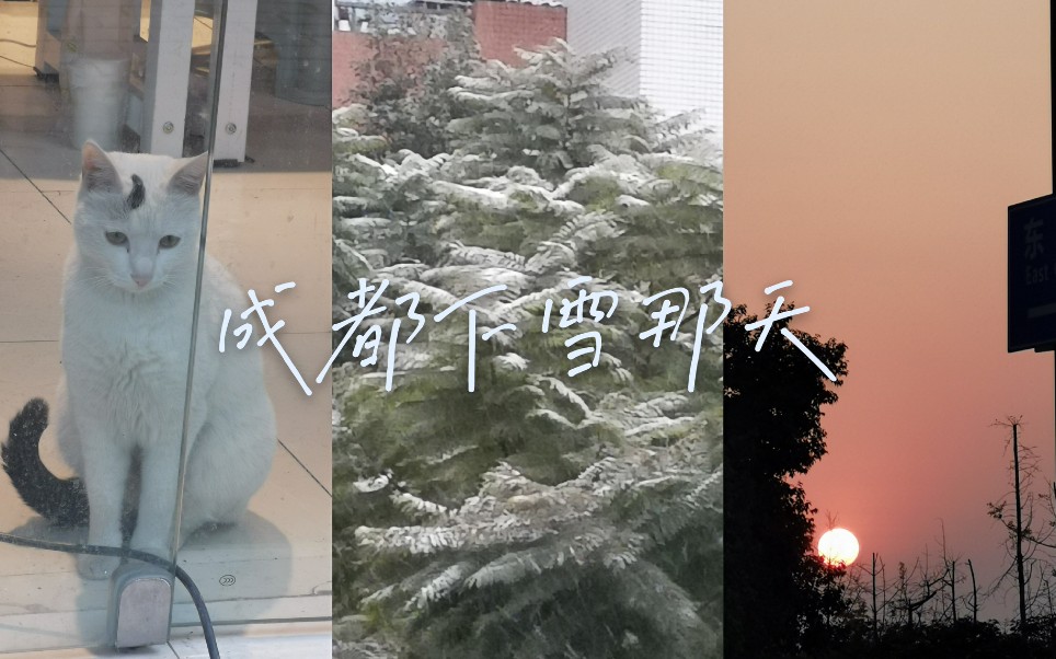 成都下雪那天—江安哔哩哔哩bilibili