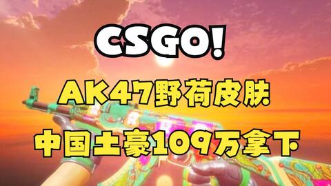 CS:GO AK47, 野荷