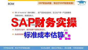 SAP财务实操《物料BOM与标准成本估算》CO成本管理