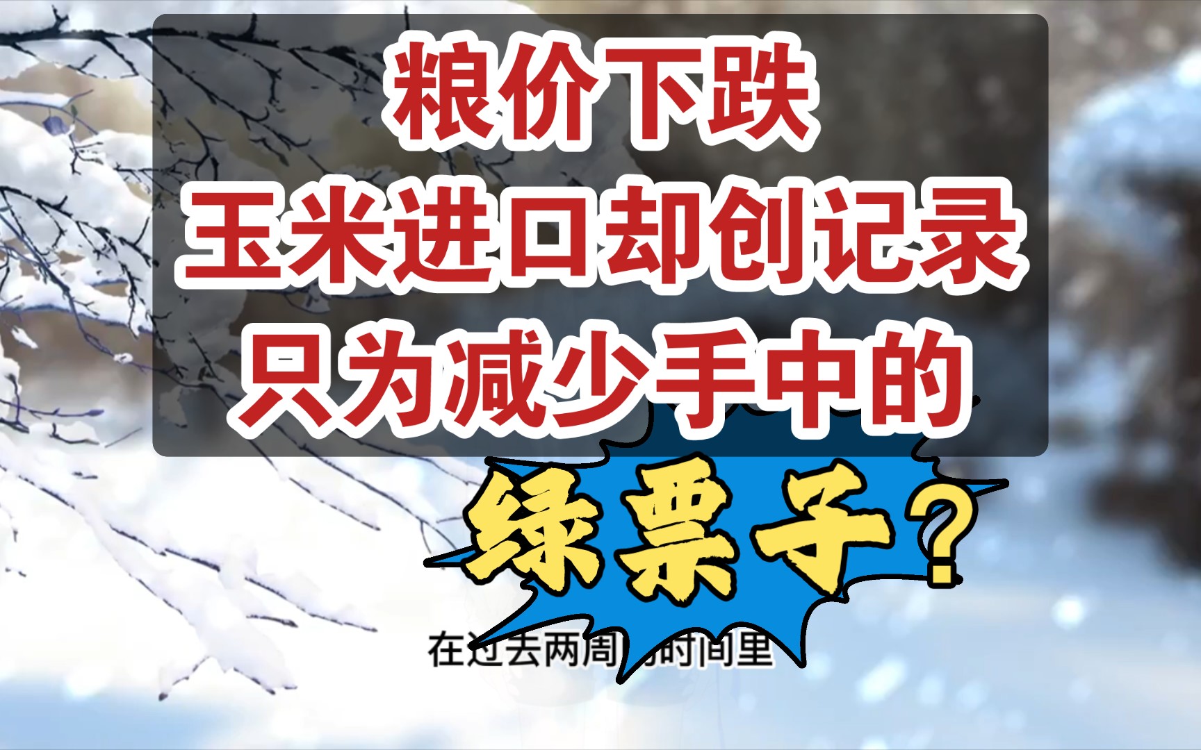 过去这两周我国粮食外贸员没偷懒 9天有8天都在买买买 玉米进口创纪录疑和国内产业结构调整有关哔哩哔哩bilibili