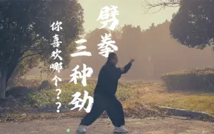 Download Video: 形意劈拳三个劲，哪个最正宗呢？#内家拳 #形意拳 #形意拳入门教学