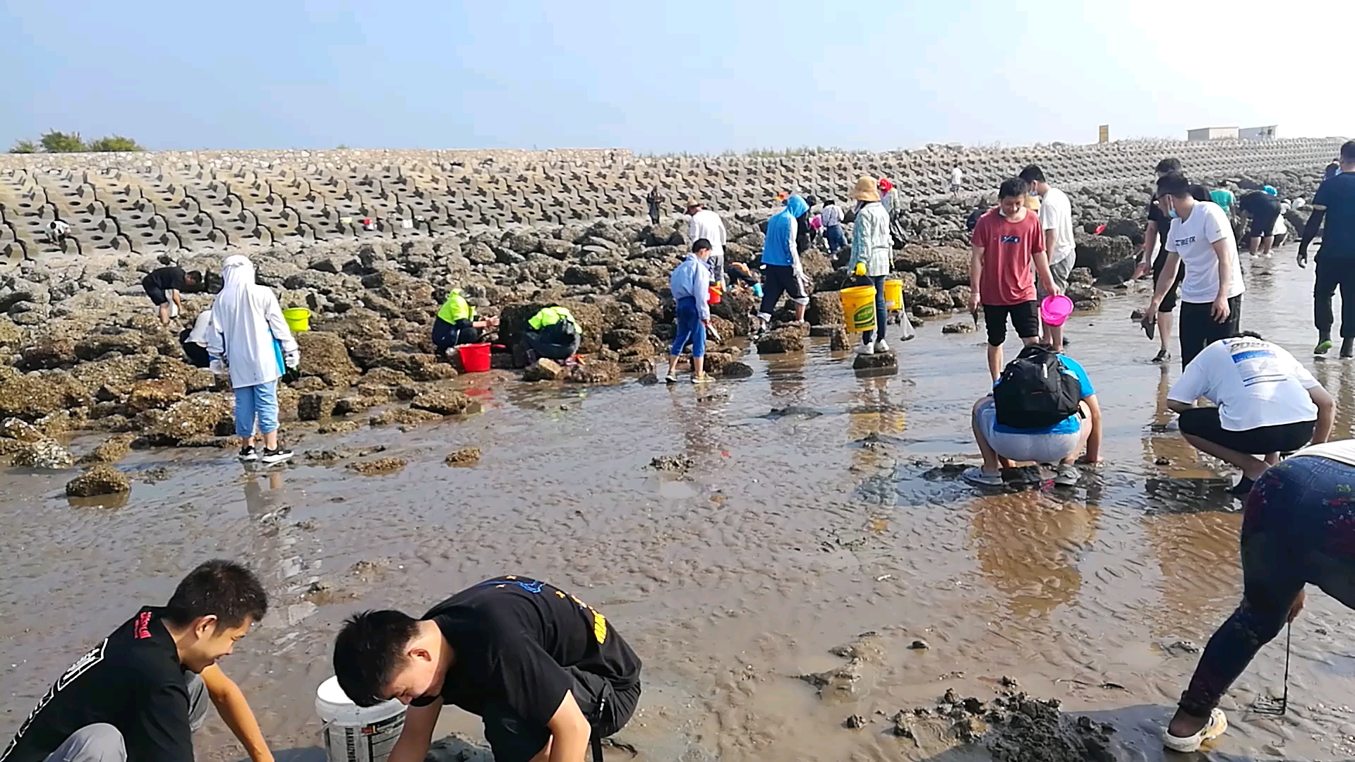 东疆湾赶海图片