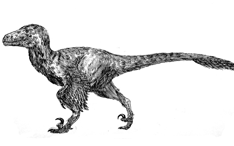 驰龙之王钢笔画教程_哔哩哔哩_bilibili