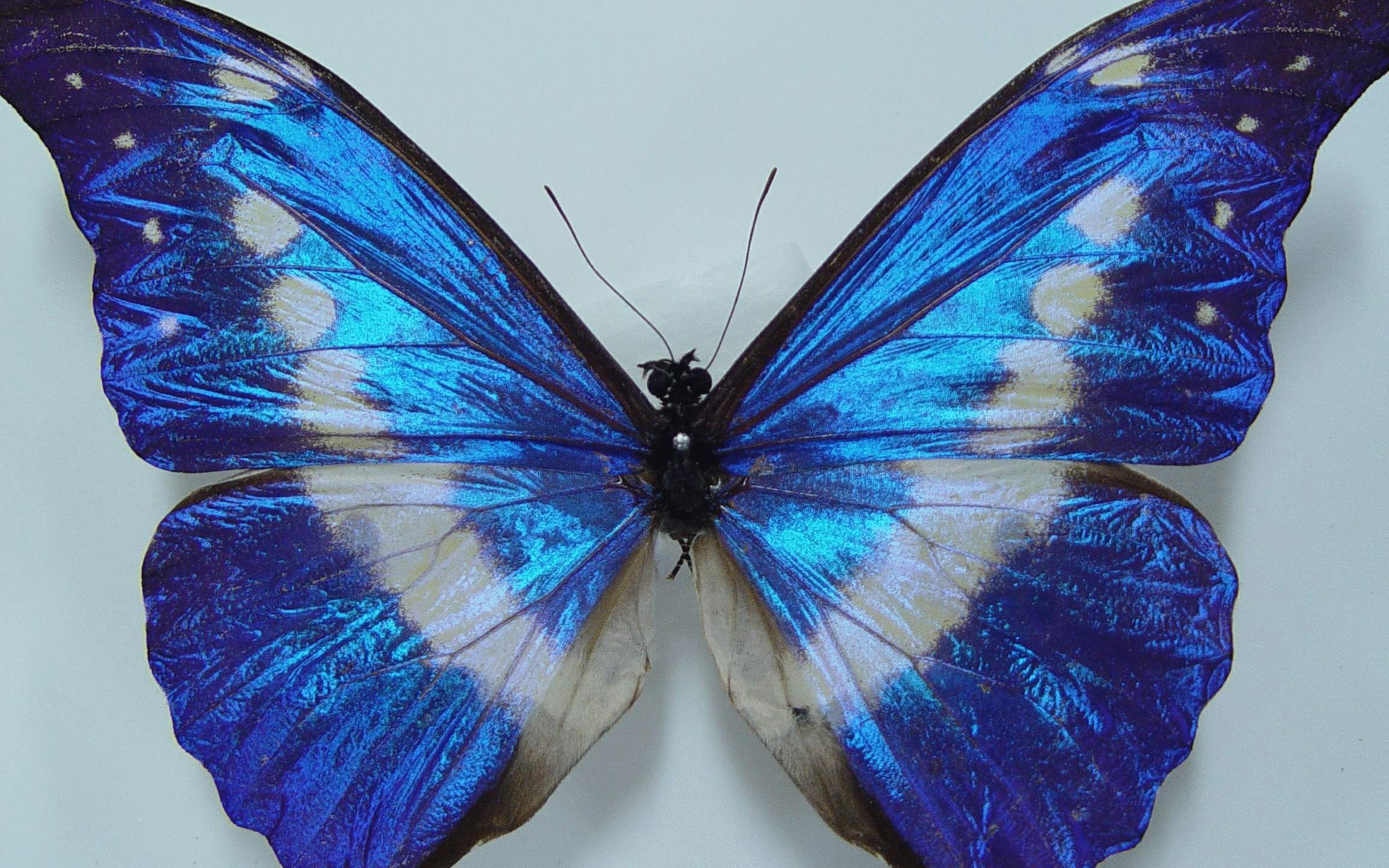 comsol教程模拟一维光子晶体的反射透射情况_哔哩哔哩_bilibili