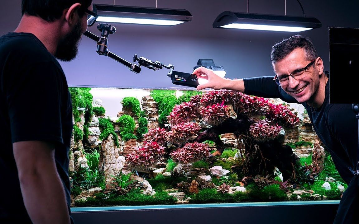 ada-2020年世界水草造景大赛作品排名