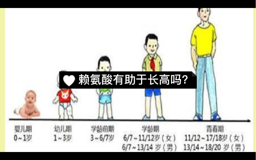 赖氨酸有助于长高吗?哔哩哔哩bilibili