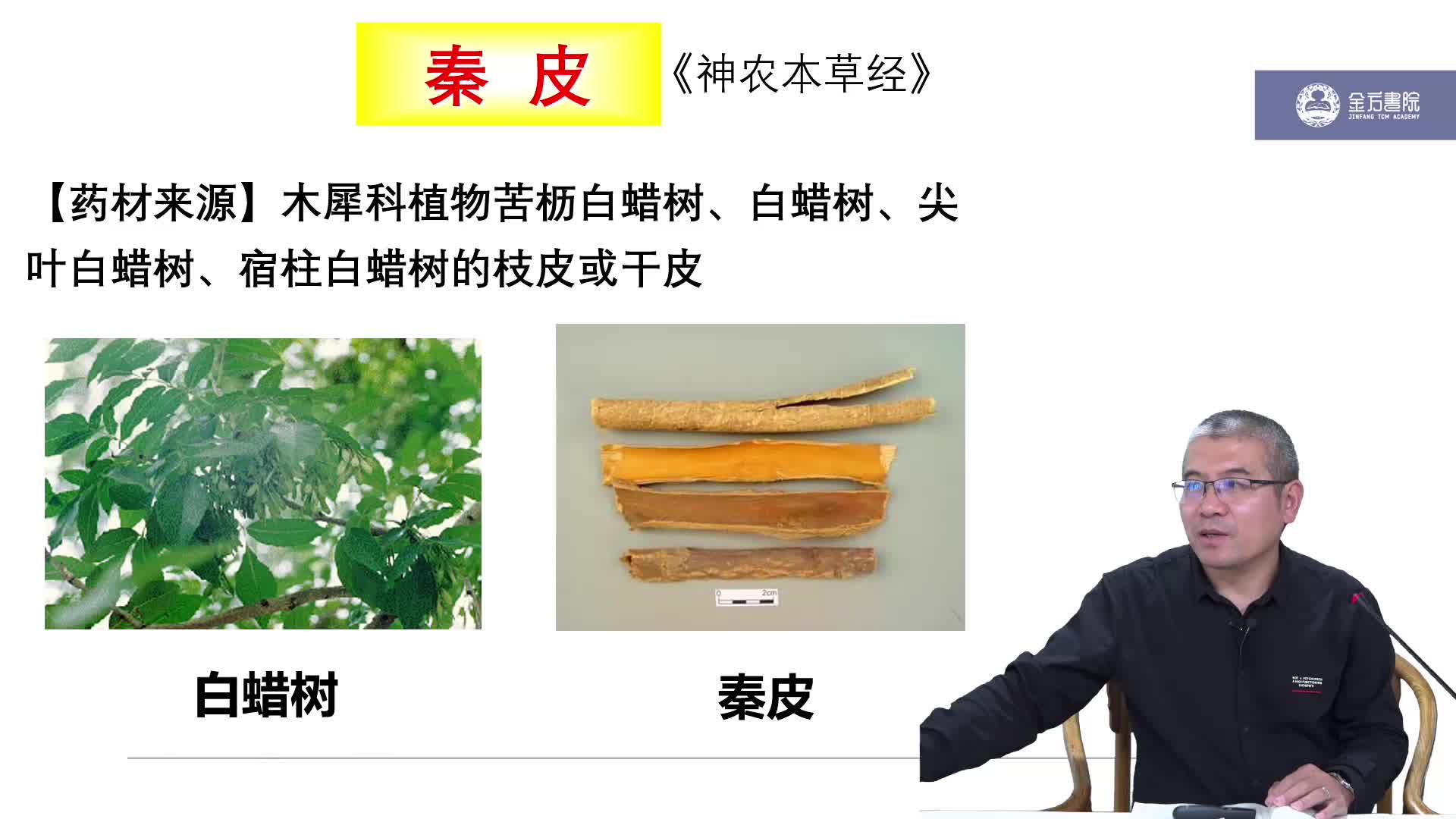 秦皮清热药清热燥湿药《中药学》高文老师主讲哔哩哔哩bilibili