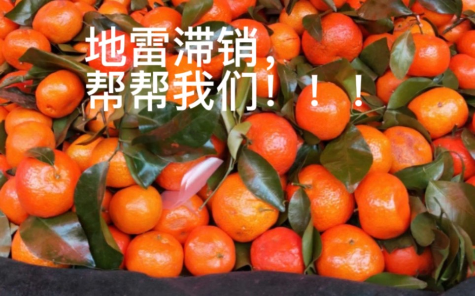 地雷滞销,帮帮我们!