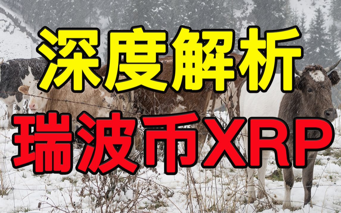 比特币市场 | 瑞波币XRP深度解析:走牛VS走熊?它真的会归零吗?哔哩哔哩bilibili