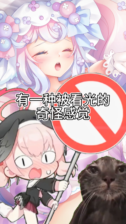 所以你们有在p站看过这张图吗