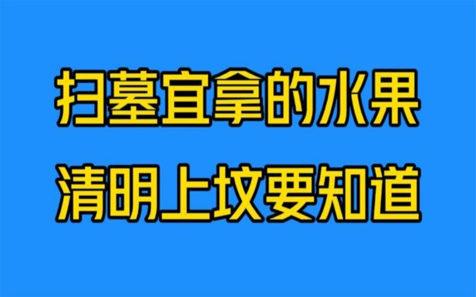 上坟宜拿哪些水果,清明扫墓要知道!哔哩哔哩bilibili