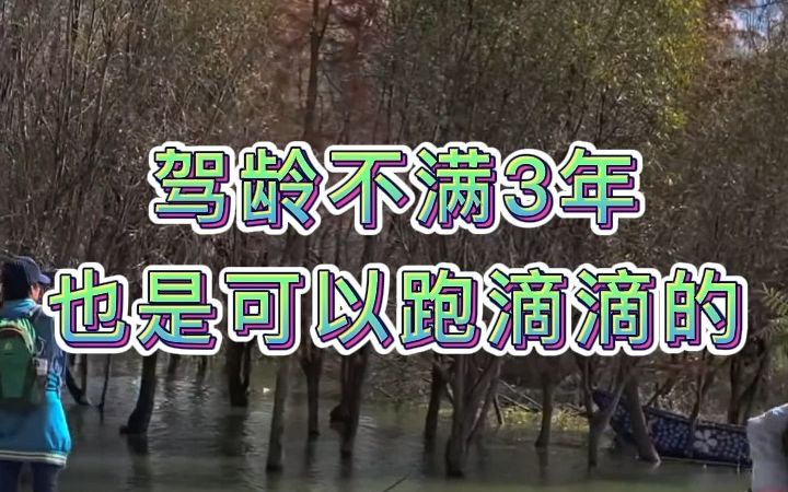 实习期一年驾龄能跑哪个网约车平台呢?驾龄不满三年想注册滴滴可以吗哔哩哔哩bilibili