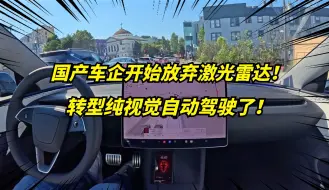 Download Video: 放弃雷达！国产车跟随特斯拉，转型纯视觉自动驾驶！