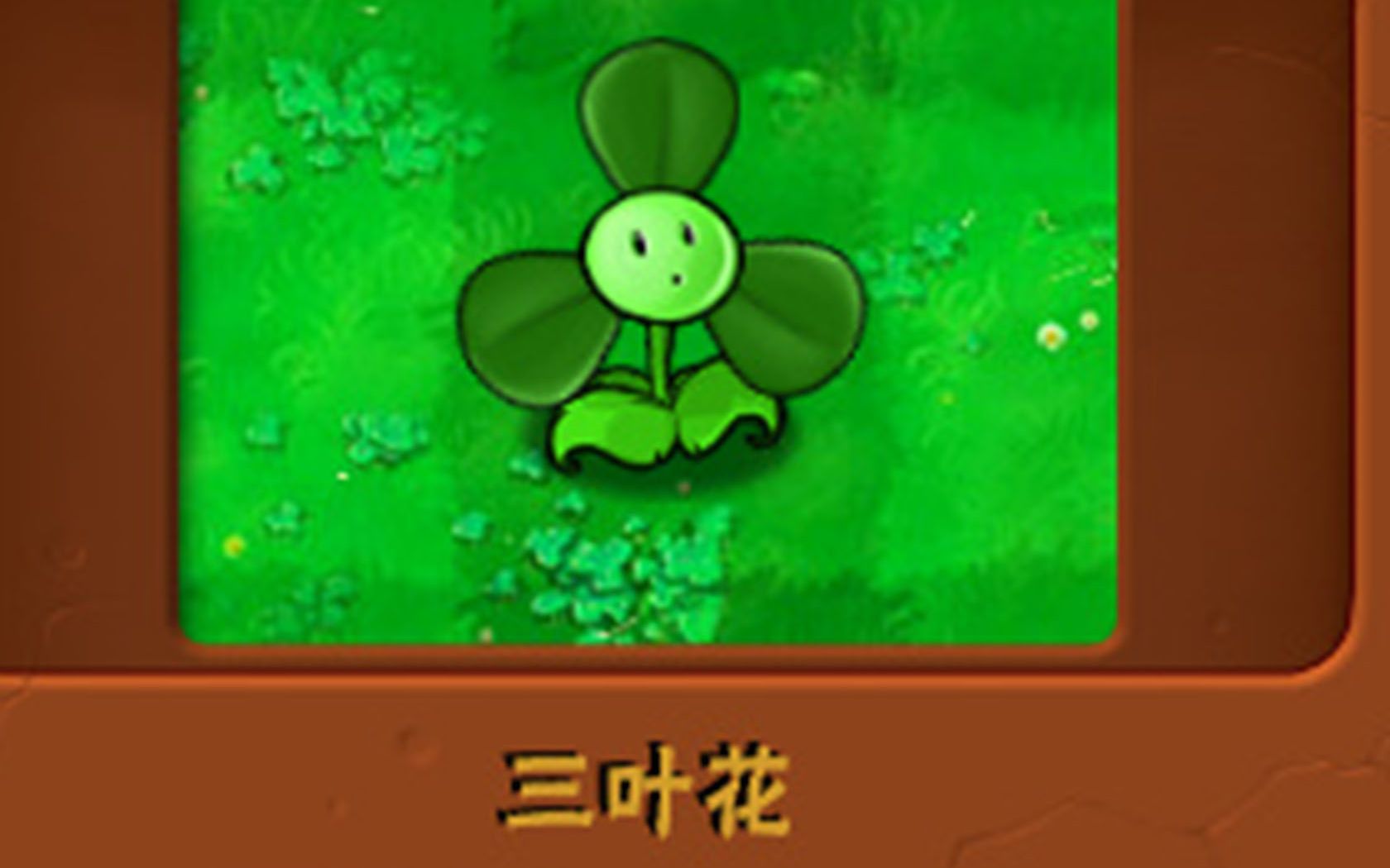 新植物:三叶花哔哩哔哩bilibili