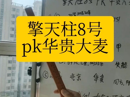 定期寿险最后对比,全国主要就4家.通常选北京擎天柱8号定期寿险,华贵大麦也很#擎天柱8号 #擎天柱8号定期寿险 #定期寿险怎么买 #华贵大麦 #华贵大麦...