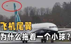 Video herunterladen: 飞机尾翼上为什么要拖个小球？它有什么用？实拍飞机拖锥使用过程