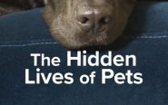 [图]【纪录片】宠物的秘密生活(2022) [4集] 超清1080p 中文字幕 The Hidden Lives of Pets