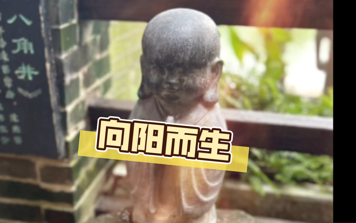 向着太阳生长,做一个温暖的人